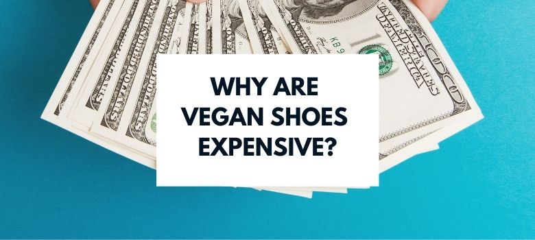 Why Are Vegan Shoes Expensive